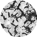 File:Stimuli magnitude corr mosaic.png