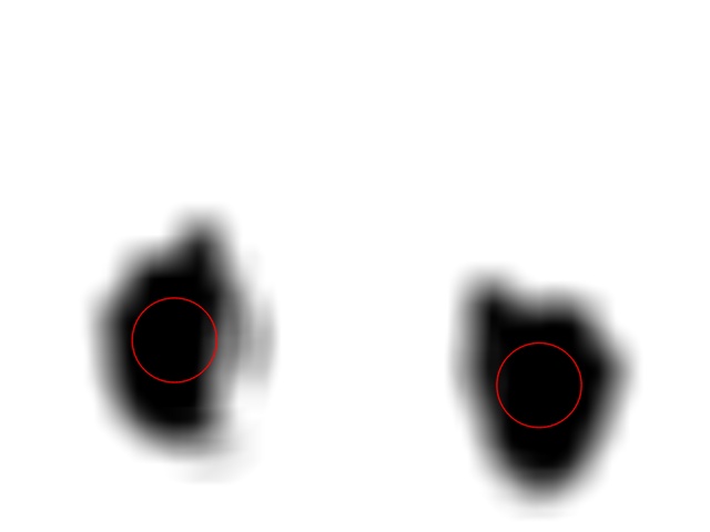 File:Blob detector.jpg