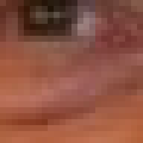 File:SharonZoomOriginal.png
