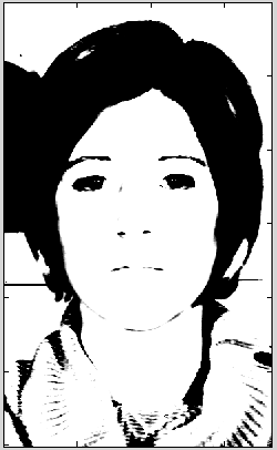 File:CaucasianFemale6 to EastIndianFemale2 mask.png