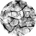 File:Stimuli marginals mosaic.png