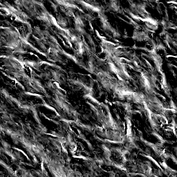 File:Structured branches marginals.png