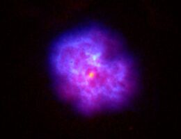 Radio emission of the G21.5-0.9 supernova remnants, imaged by the VLA. Courtesy of NRAO/AUI and M. Bietenholz.