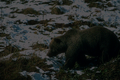 Thumbnail for version as of 18:38, 18 July 2023