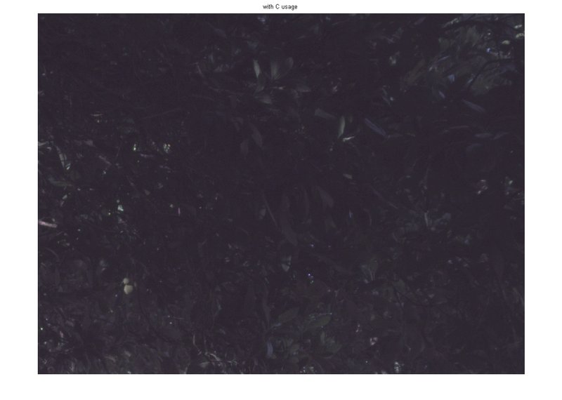 File:Treeroundcropwith.png