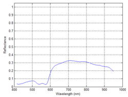 Figure 32: Reflectance Spectra across the Porcine Colon in Figure 3