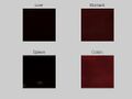 Thumbnail for version as of 18:39, 18 July 2023