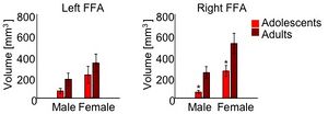 Right FFA is significantly smaller (p<.05) in adolescents.