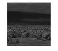 Thumbnail for version as of 18:40, 18 July 2023