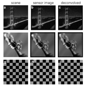 Figure 1 - Sample scenes (left column) and blurry simulated images (center column) along with the recovered sharp image (right column) from our deconvolution implementation. High frequency detail in all of the scenes was recovered, though noise is amplified.