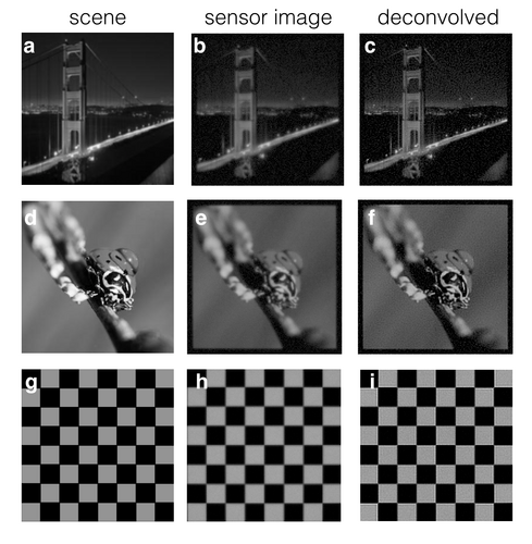 Sample scenes (left column) and blurry simulated images (center column) along with the recovered sharp image (right column) from our deconvolution implementation. High frequency detail in all of the scenes was recovered, though noise is amplified.