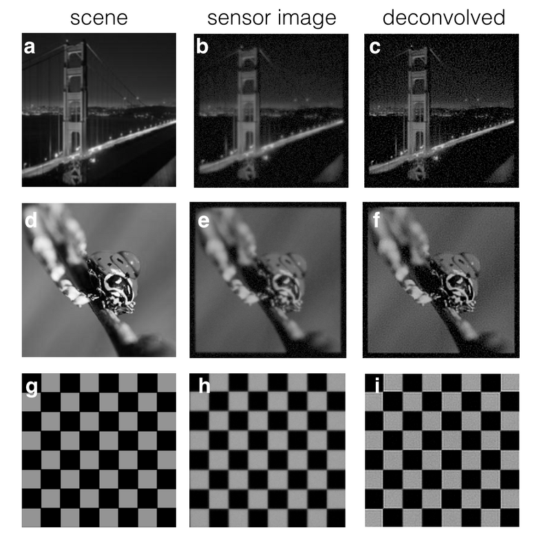 Sample scenes (left column) and blurry simulated images (center column) along with the recovered sharp image (right column) from our deconvolution implementation. High frequency detail in all of the scenes was recovered, though noise is amplified.