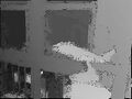 Thumbnail for version as of 18:41, 18 July 2023