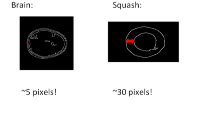 Thickness Determination Sample Result