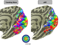 Thumbnail for version as of 18:42, 18 July 2023