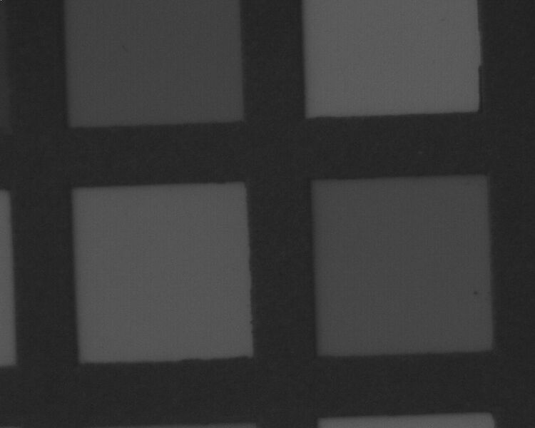 File:Green patch8.jpeg