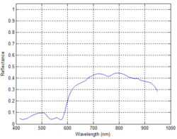 Figure 34: Reflectance Spectra across the Porcine Colon after 30 min ischemia