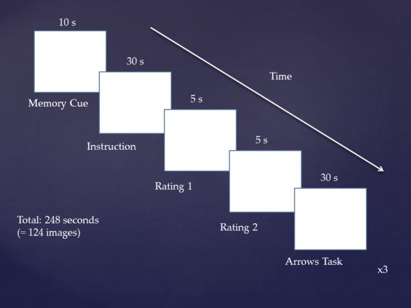 fMRI task