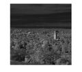 Thumbnail for version as of 18:44, 18 July 2023