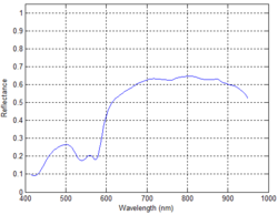 Figure 31: Reflectance Spectra across the Porcine Skin after 30 min ischemia in Figure 28