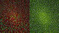 Thumbnail for version as of 18:46, 18 July 2023