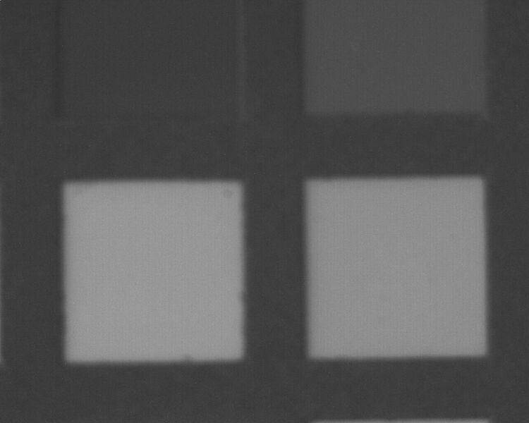 File:Yellow patch8.jpeg