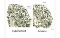 Thumbnail for version as of 18:47, 18 July 2023
