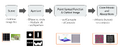Thumbnail for version as of 08:29, 13 December 2024