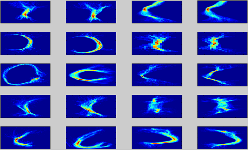 File:20Fascicles.png