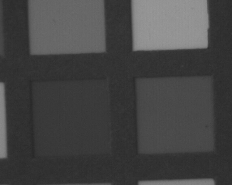 File:Green patch7.jpeg