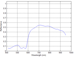 Figure 33: Reflectance Spectra across the Porcine Colon after 16 min ischemia