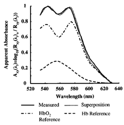 Figure 6: Hemoglobin absorption spectrum between 500 and 600 nm (Ref.6)