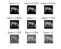 Thumbnail for version as of 18:49, 18 July 2023