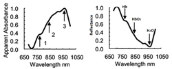Figure 7: Hemoglobin absorption spectrum above 700 nm (Ref.5)