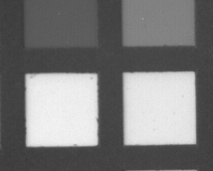 File:Yellow patch6.jpeg