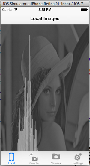 Original Image