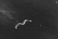 Thumbnail for version as of 18:49, 18 July 2023