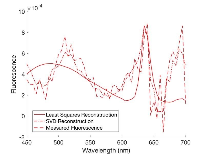 File:Reconstruction 1.png